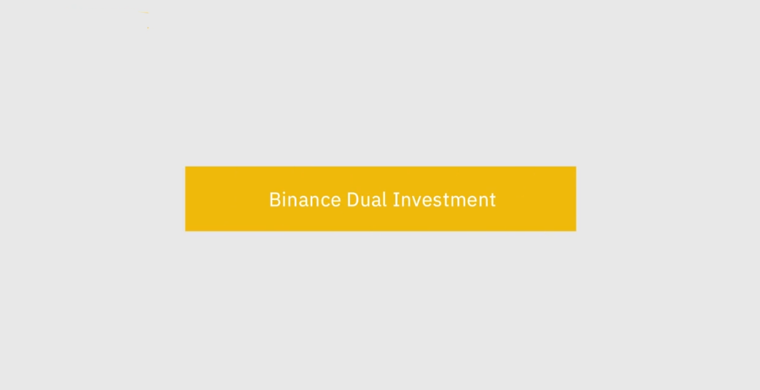 Краткое руководство по бивалютным инвестициям Binance