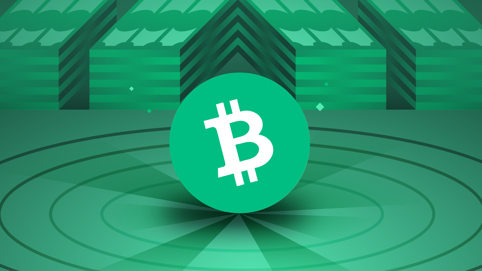 Что такое Bitcoin Cash (BCH)?